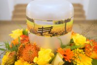 ein Bild aus dem Album