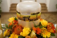 ein Bild aus dem Album